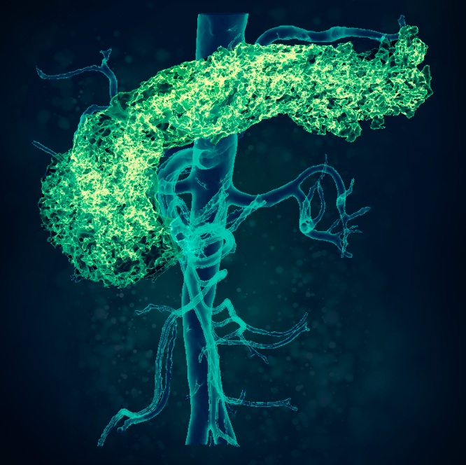 Cardio-Metabolic-Disorders-banner