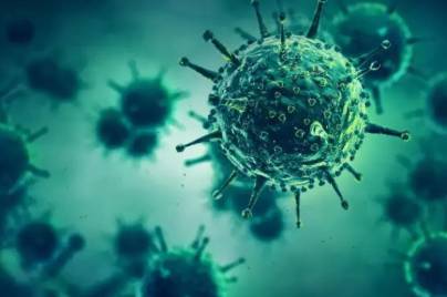 Infection disease