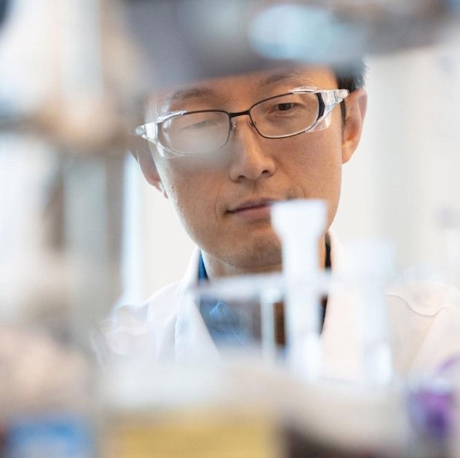 Scientist in the lab at work