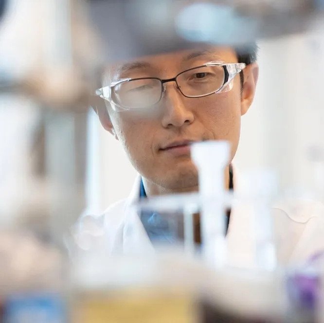 Scientist in the lab at work